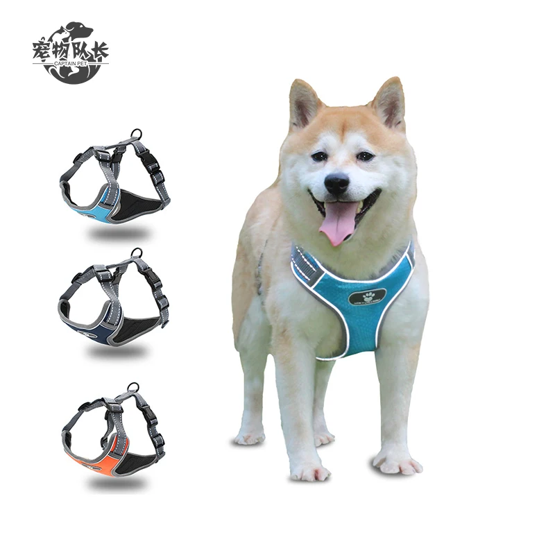 cloth dog harness