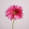 04-Rose Red