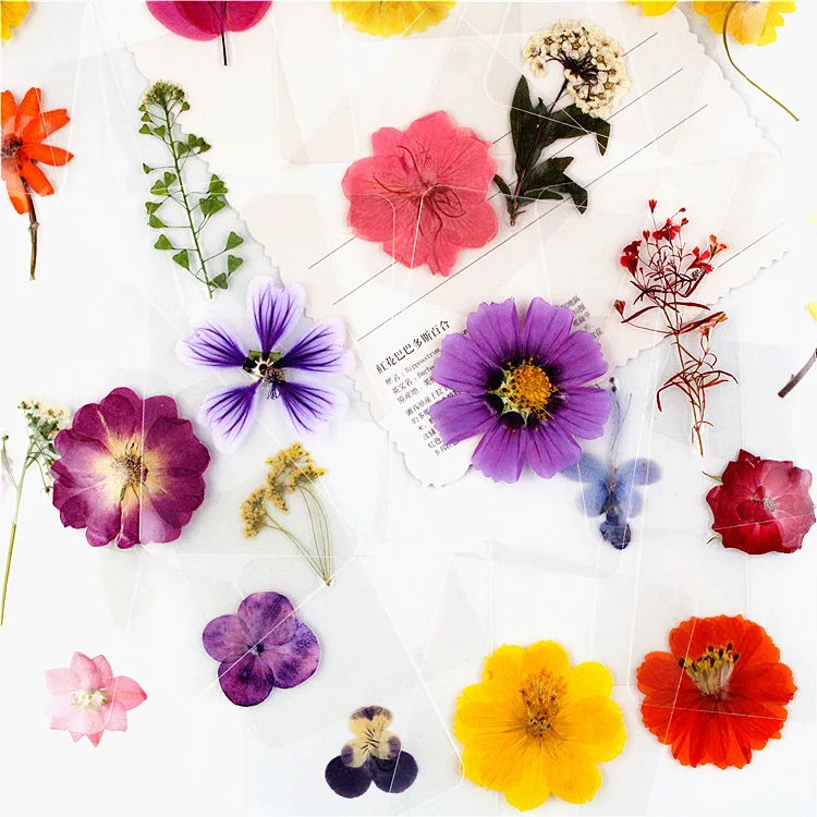 Digital Pressed Flowers 