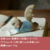 The clever little squirrel