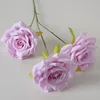 Rosa de diamante de 3 cabezas con núcleo morado