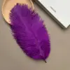 Púrpura