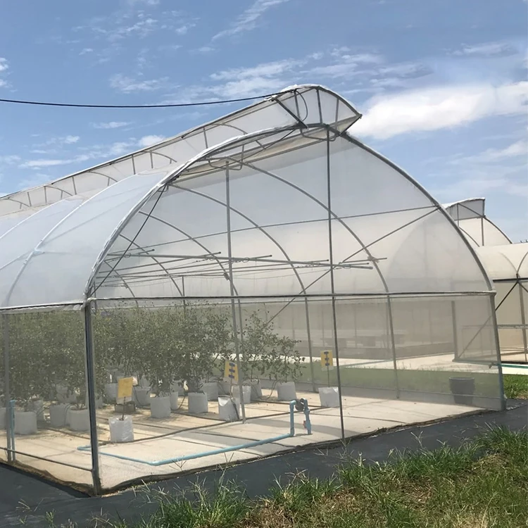 Single Span Tunnel Arch Agricultural Natural Ventilation Top Vent