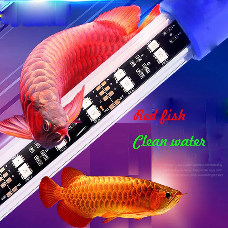 love fish led light