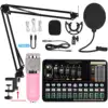 Conjunto de tarjeta de sonido rosa-plata BM800+V10xPro