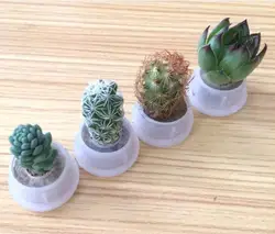 Мини-брелок для ключей с растениями