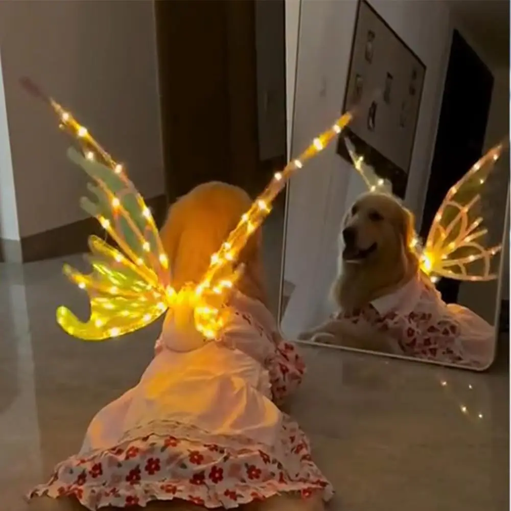 Electric Luminous Wings