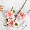 Rosa pesca xz-tre piccole magnolie