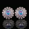 Pink Blue earrings