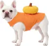 Zucca-cos
