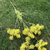 8#  5 Fiori di pizzo gialli
