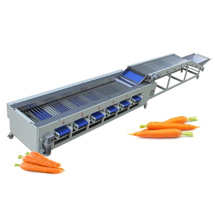 Cucumber Carrot Sorting Machine Carrots Grading Machine