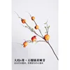 Large branches, six fruits, tender buds, pomegranate, orange-yellow