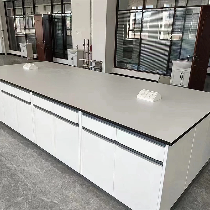 Work Tables School Laboratory Equipment Work Bench with Sink