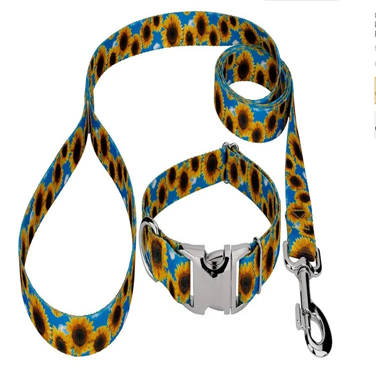 Download High Quality Hot Sublimation Printing Pet Dog Collars Leash Sets Adjustable Tactical Custom Design Adjustable No Pull Buy Dog Leash Sublimation Dog Leash Innovative Dog Leash Product On Alibaba Com