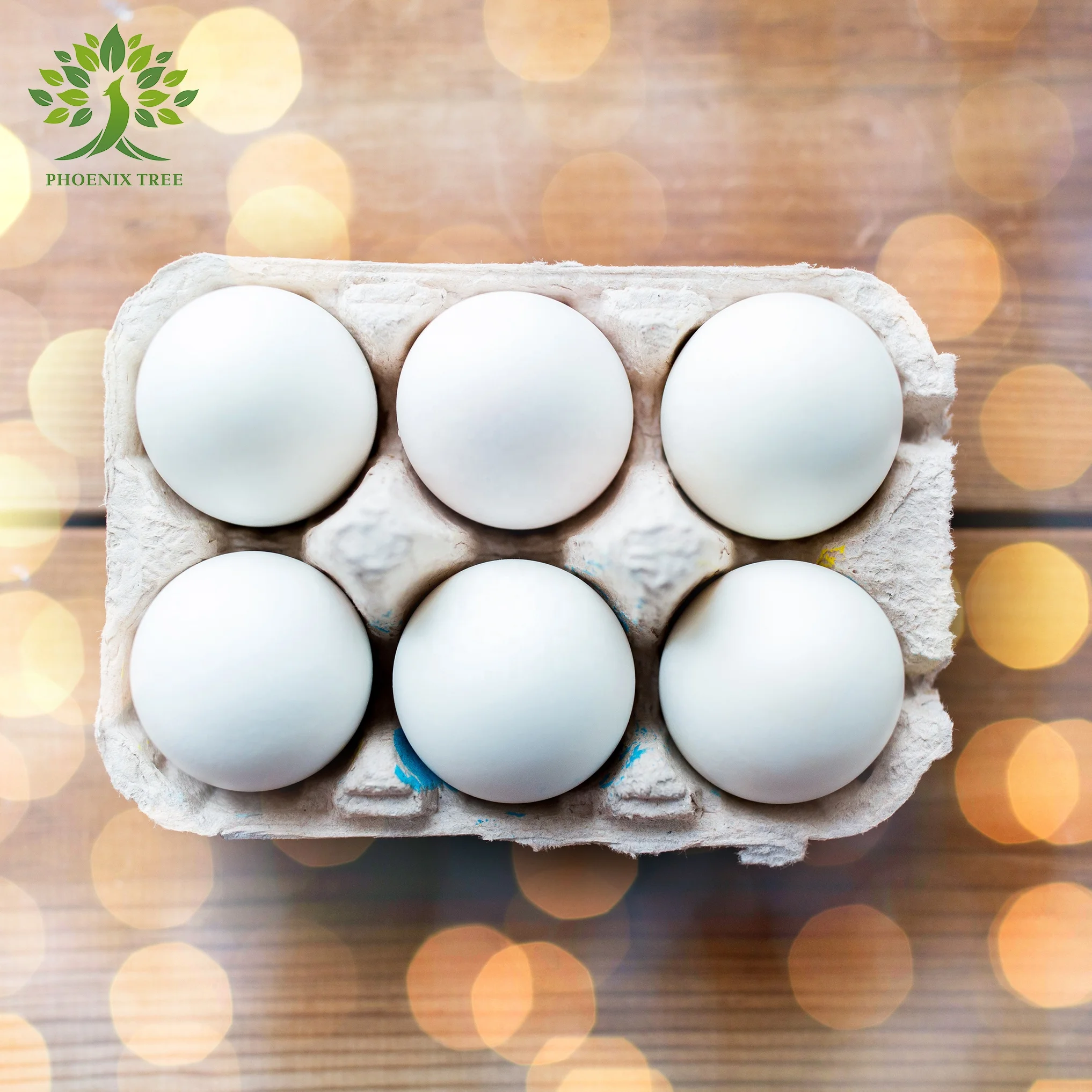 Ptpack Hot Sale Biodegradable Recycled Egg Trays 30 Chicken Egg Cartons