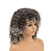 Ombre Gray