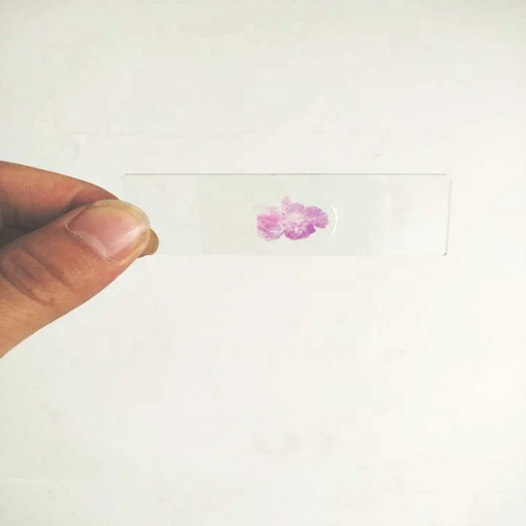 Набор слайдов для медицинских и медицинских студентов, 100 шт.