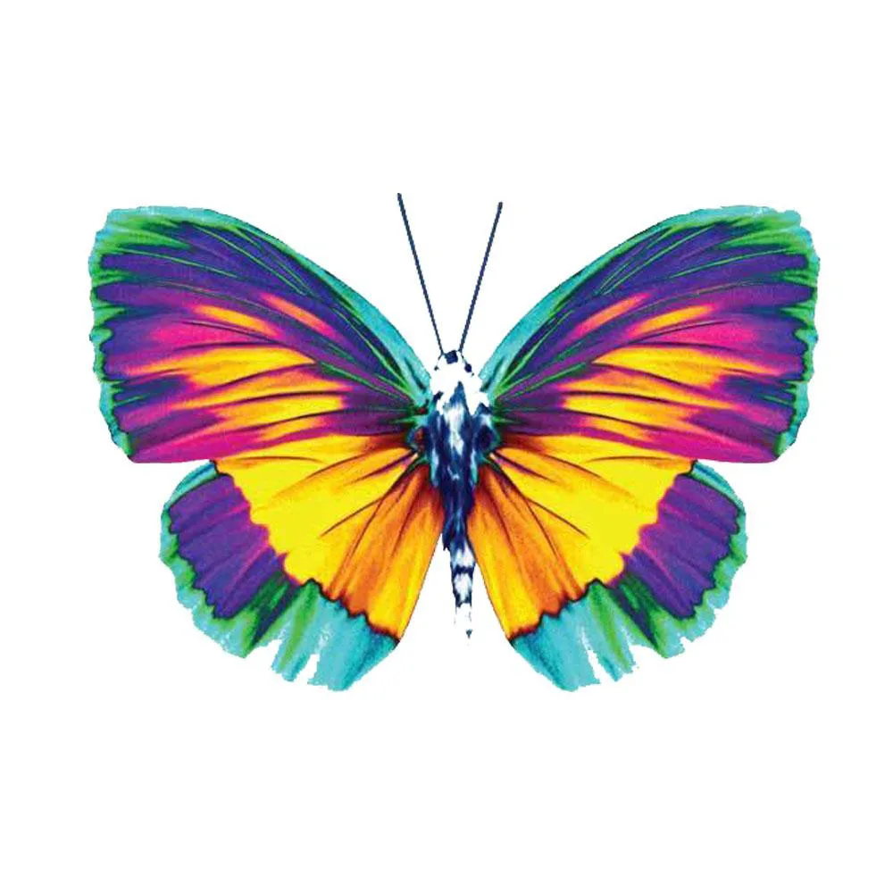 Vaa07月亮蝴蝶花飞蛾烫画印花插图设计卡片剪贴免抠手帐贴纸素材, image size:1000x1000