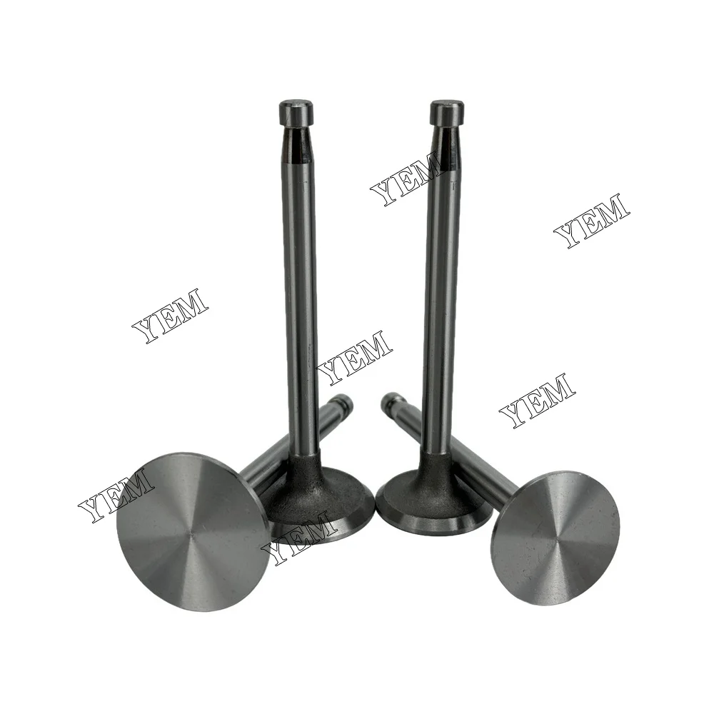 295AD Valve for SDEC Engine Repair Kit Valve Industrial Machinery Engine Parts 5