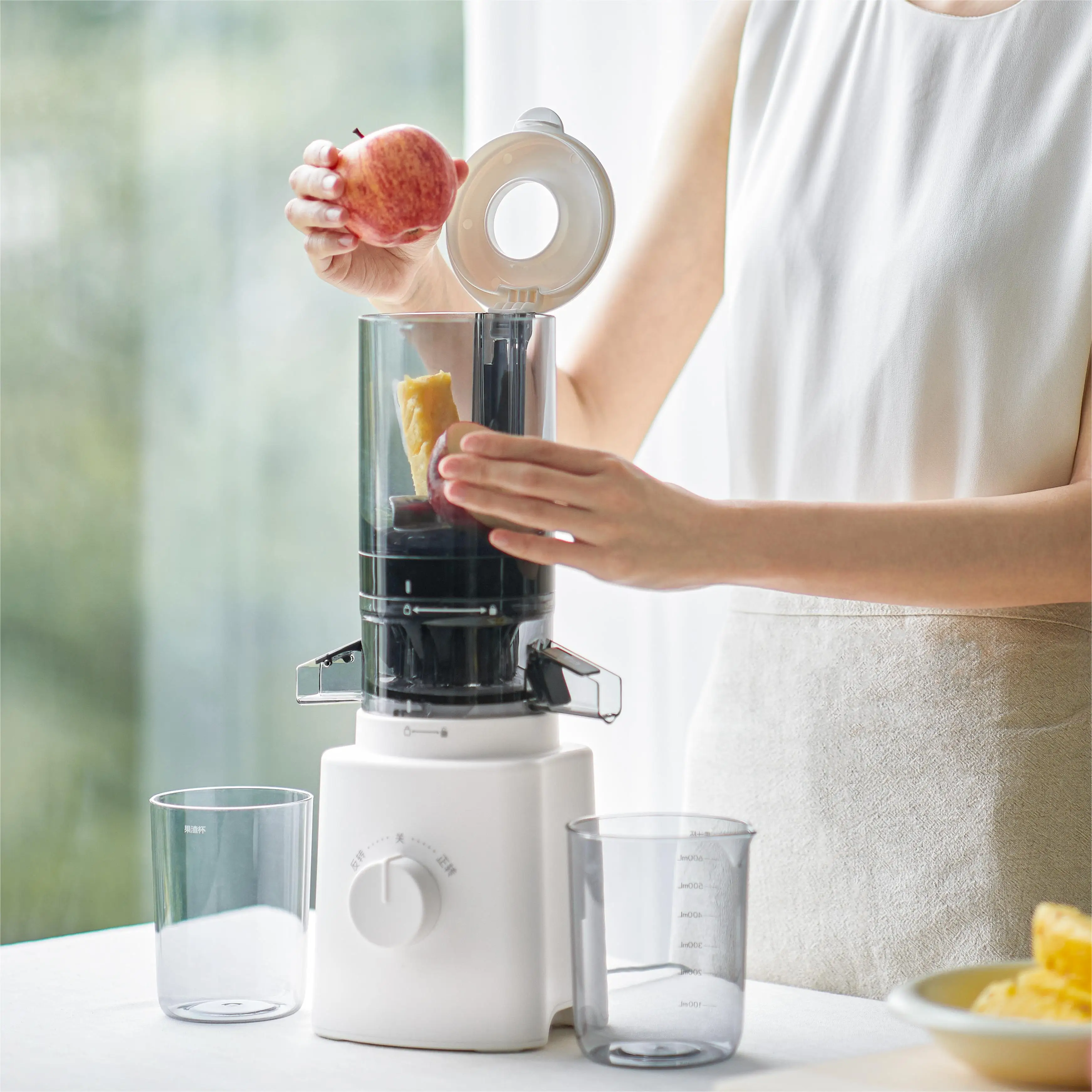 Olayks Home Use Multi-purpose Fruit Squeezer Electric Juice Extractor Machine Ice Cream Processor Juicers