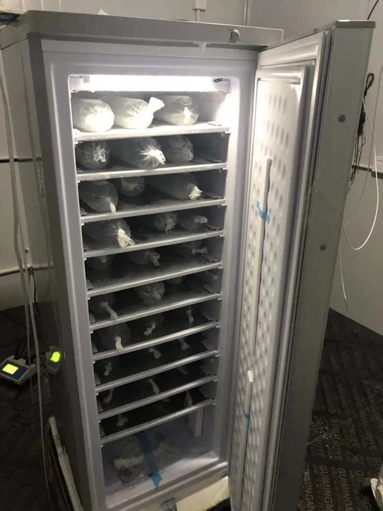 Ice Block Freezer 6.99 Cu.ft Dc 24v 198 Liters Ice Maker Freezer Buy