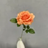 Arancione