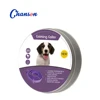 Purple Dog