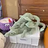 sage dragon