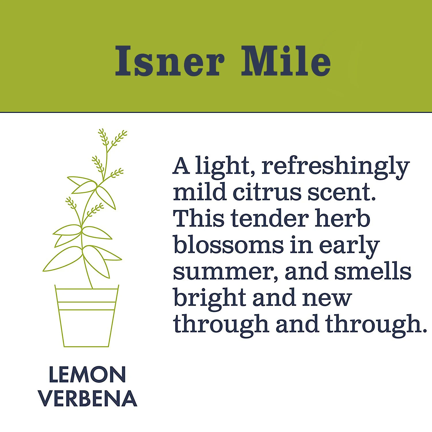 Собственная торговая марка ODM/OEM лимонное мыло для рук оптовая продажа жидкое туалетное ручная