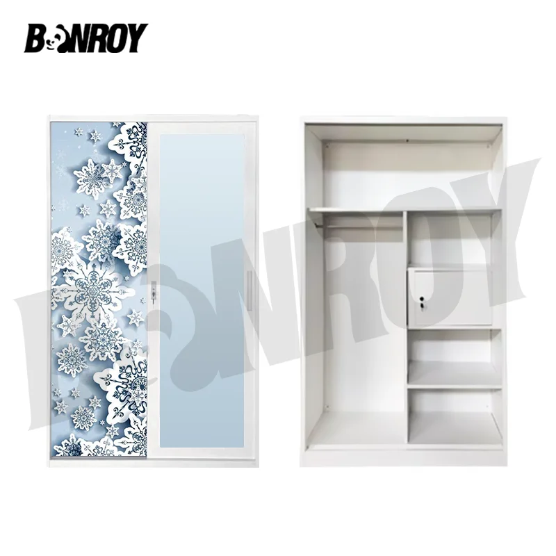 Bonroy 2 Door Steel Cupboard Metal Cabinet Clothing Steel Armable Hanger Almari Cabinet Locker Bedroom Wardrobe For Clothes