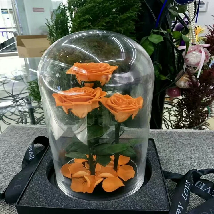 Beautiful A Grade Real Touch Preserved Rose Head 56 Cm Rose Bud 6