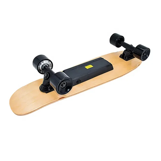 2023 Best Budget Electric Skateboard Longboard Dual Hub Motor Fast Speed 45kms/h Long Range Electric Skateboard