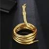 Testa d'oro