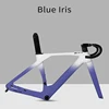 Blue Iris