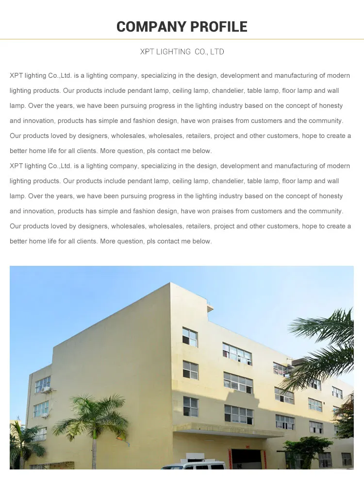 Decorative modern led wall lighting creative gold acrylic sconce mounted indoor surface reading home wall lamps