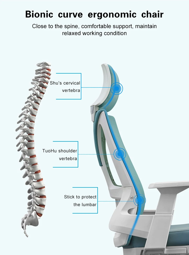 Multifunction Highback Ergonomic Director Office Chairs For Obese