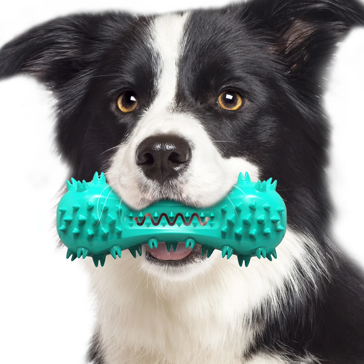 Indestructible Dog Toothbrush Squeaky Chew Toys for Dental Care