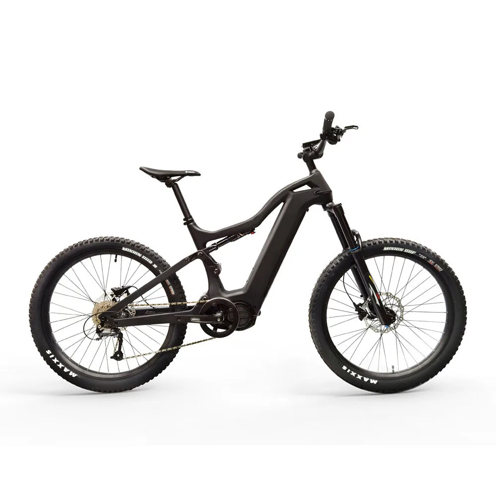 Fully Stocked Full Suspension 1000w Electric Mountain Bike Carbon Frame