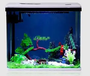 Mini Magical Square Coffee Table Aquarium Tank Eco-Friendly Fish Glass Design
