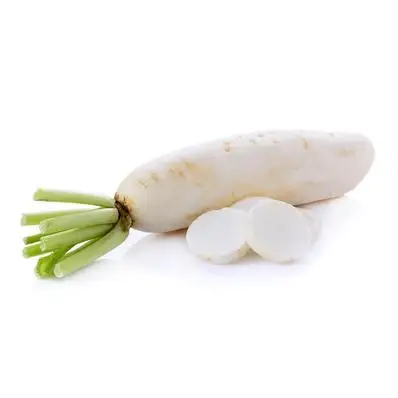 export fresh chinese white radish