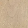Birch