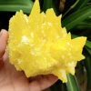 Raw Rough Yellow Sulfur Sulphur Quartz Crystal Cluster
