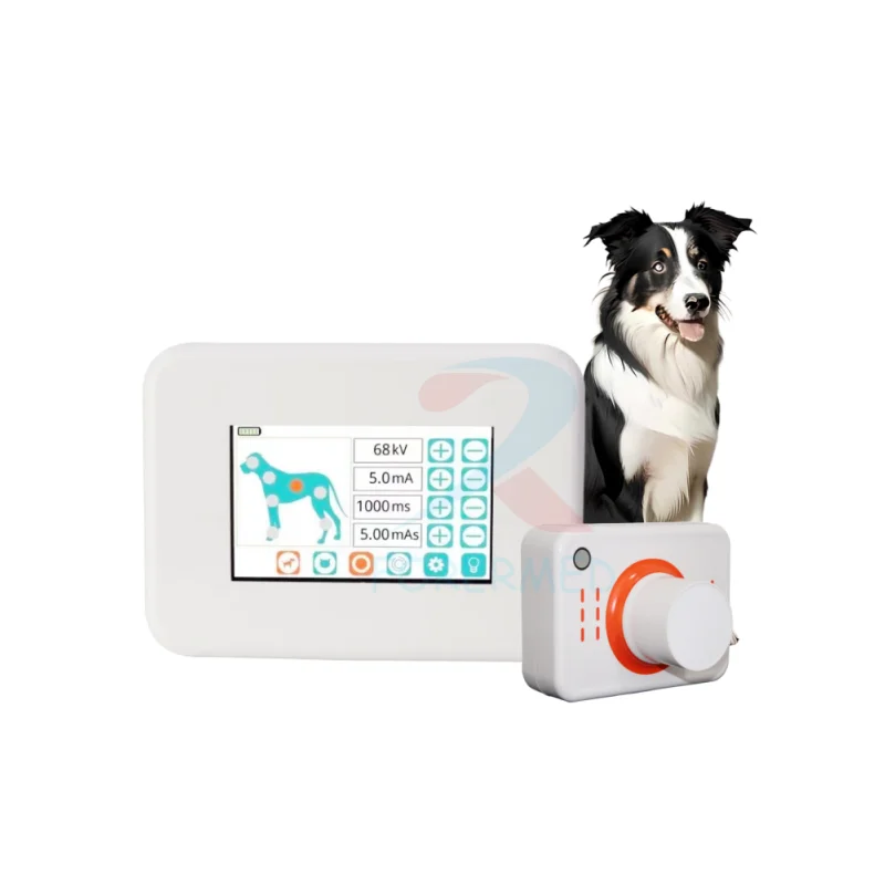Portable Small Size Hand-Held Veterinary Digital X-Ray Machine for Pet Animals Veterinary Diagnosis Tool