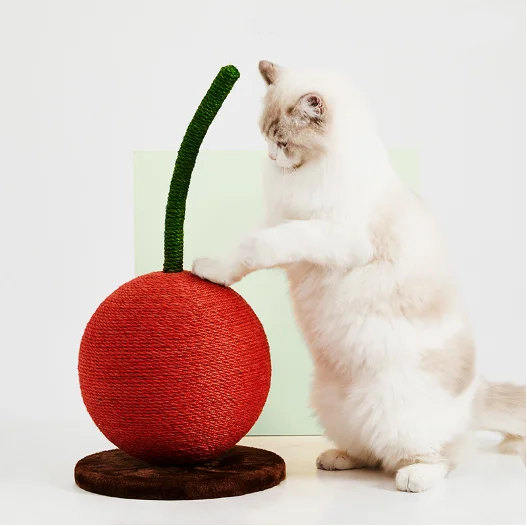 cherry cat toy