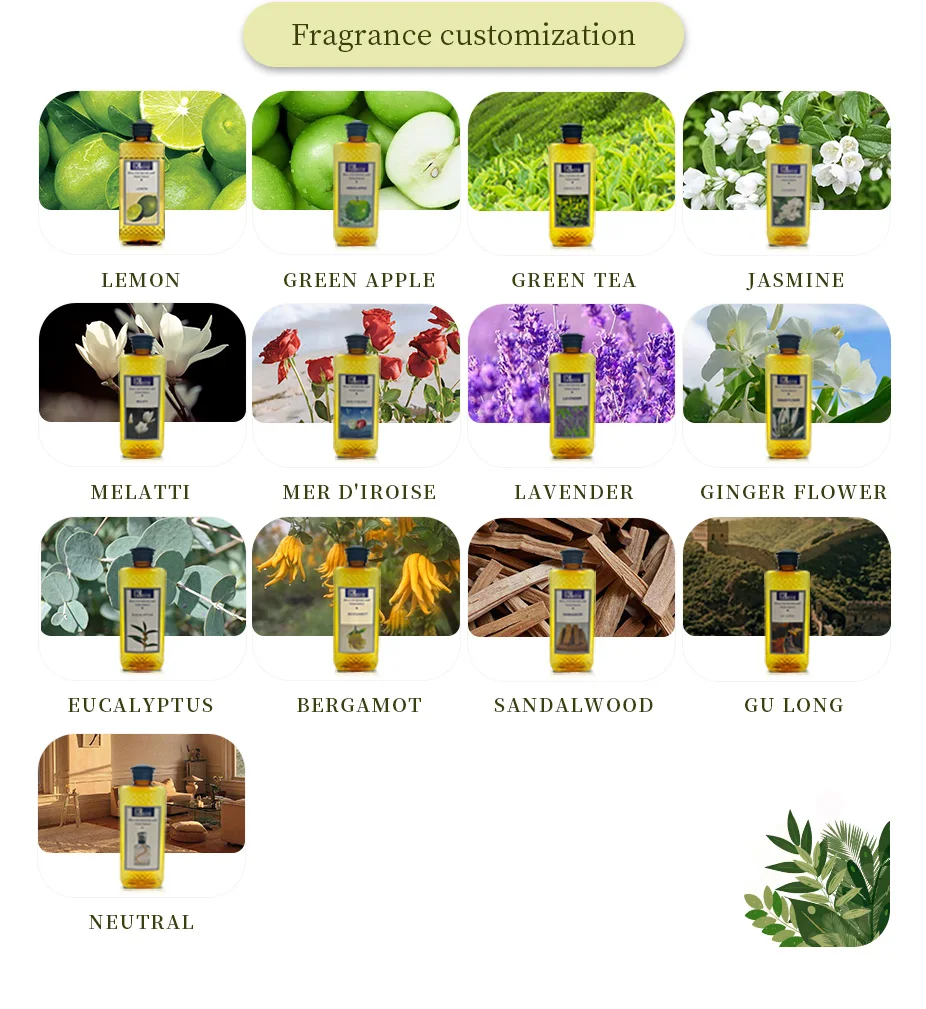 Eucalyptus Catalytic Lamp Fragrance Oil For Lampe Berger,500ml Refill