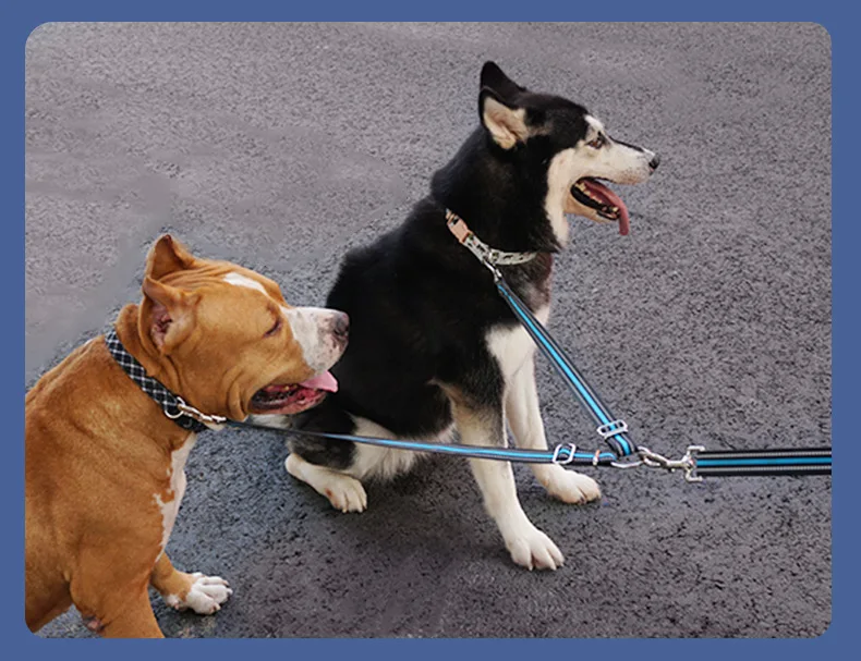Double-Headed Reflective Eco-friendly Nylon Dog Walking Leash Solid One-to-Two Strap with Ribbon Decoration for Large Breed Dogs