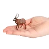 4132 Bongo Tragelaphus eurycerus