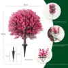 eucalipto rosa