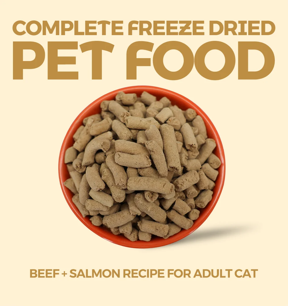 Ranova Dry Cat Food Pet Treats Dry Pet Natural Food Beef With Salmon